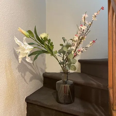 Hotel Sophie Briouze