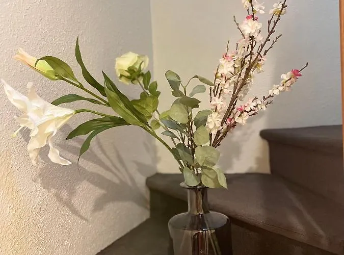 Sophie Hotel Briouze