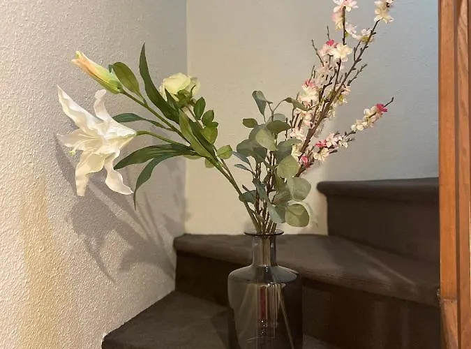 Hotel Sophie Briouze